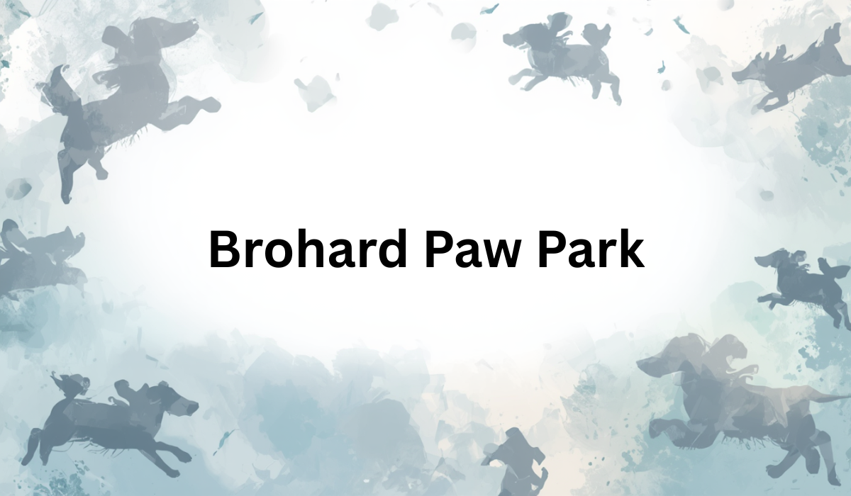 Brohard Paw Park Venice Florida