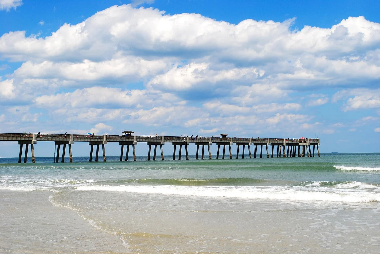 Dog-Friendly Beaches in Jacksonville Florida
