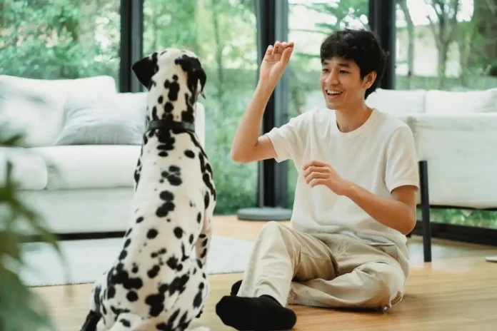 How to Help Your Dog Cope with Separation Anxiety