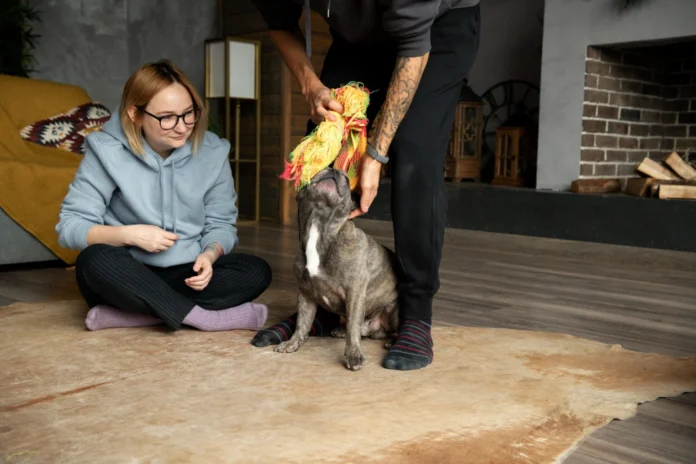 Pet-Friendly