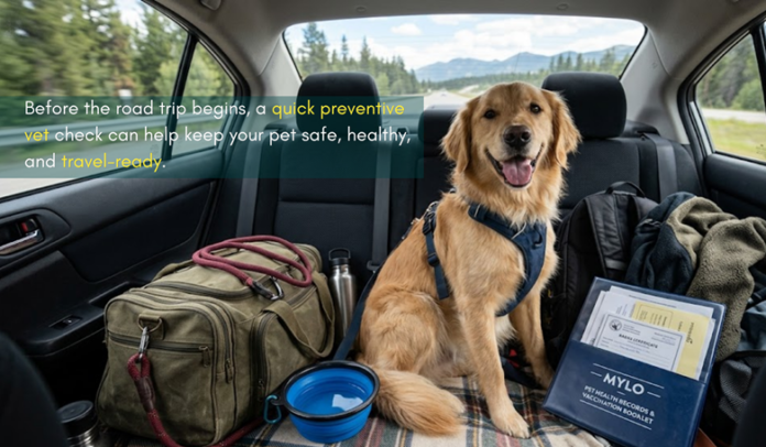 Pet-Friendly Denver Trip