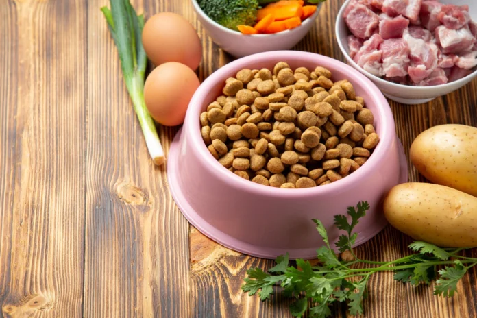 Dog Food